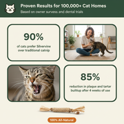 Purriva Silvervine Dental Chew Sticks