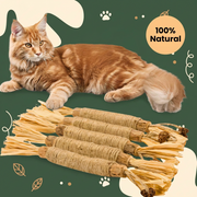 Purriva Silvervine Dental Chew Sticks